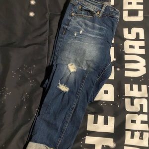Torrid Jeans